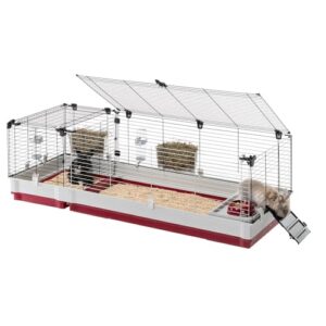 FERPLAST – Cage Cochon d’Inde – Cage Lapin – Maison Lapin – Clapier Lapin – accessoires inclus – Ouvrant et modulable 162 x 60 x h 50 CM – Krolik 160 FERPLAST – Cage Cochon d’Inde – Cage Lapin – Maison Lapin – Clapier Lapin – accessoires inclus – Ouvrant et modulable 162 x 60 x h 50 CM – Krolik 160 pas cher