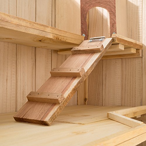 tectake® Cage à Hamster Cochon d’Inde Petits rongeurs en Bois, Plusieurs étages avec rampes, Tiroir intégré pour Un Nettoyage Facile tectake® Cage à Hamster Cochon d’Inde Petits rongeurs en Bois, Plusieurs étages avec rampes, Tiroir intégré pour Un Nettoyage Facile pas cher